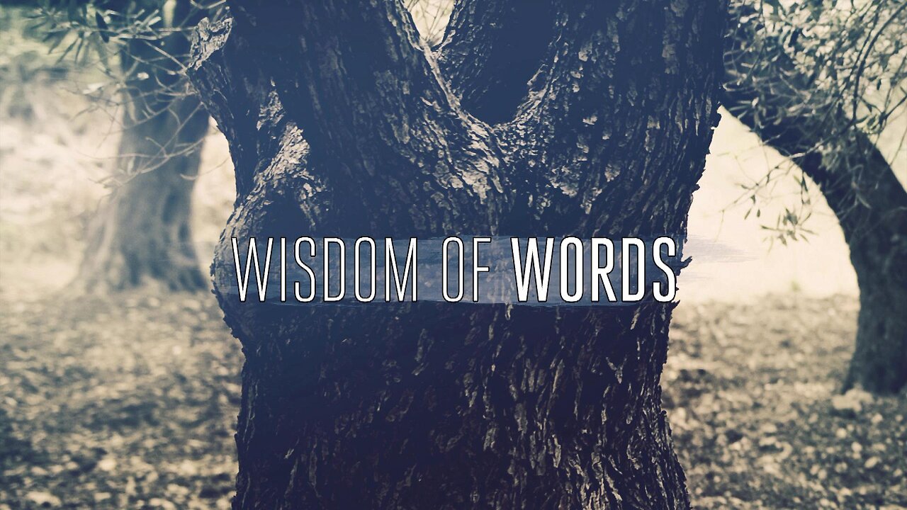 Wisdom Of Words