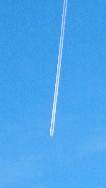 drac democrats poisoning human Americans