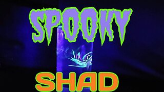 Spooky Shad {An Easy and Effective Bait Modification Technique to Catch Fish}