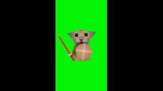 Cat With Shield Meme | Green Screen #cat #skeletonshieldmeme #relatable #capcut #fyp