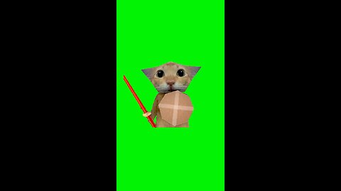 Cat With Shield Meme | Green Screen #cat #skeletonshieldmeme #relatable #capcut #fyp