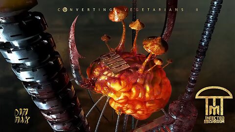Infected Mushroom - Stuck in a Loop