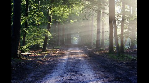 THE DAVID SPOON EXPERIENCE: GOD OFFERS NO COMPROMISE FOR OUR OBEDIENCE! 02-02-2026