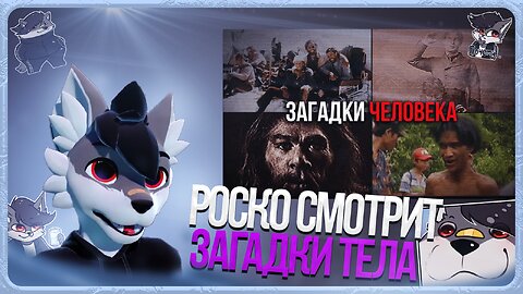 🐺 Роско смотрит Азазелло - ТРЕВОЖНЫЕ ФАКТЫ О ЧЕЛОВЕКЕ