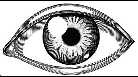 A Unique Look @ Nancy Gutherie Kidnapping (What Flies Above)