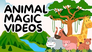 ANIMAL MAGIC VIDEOS