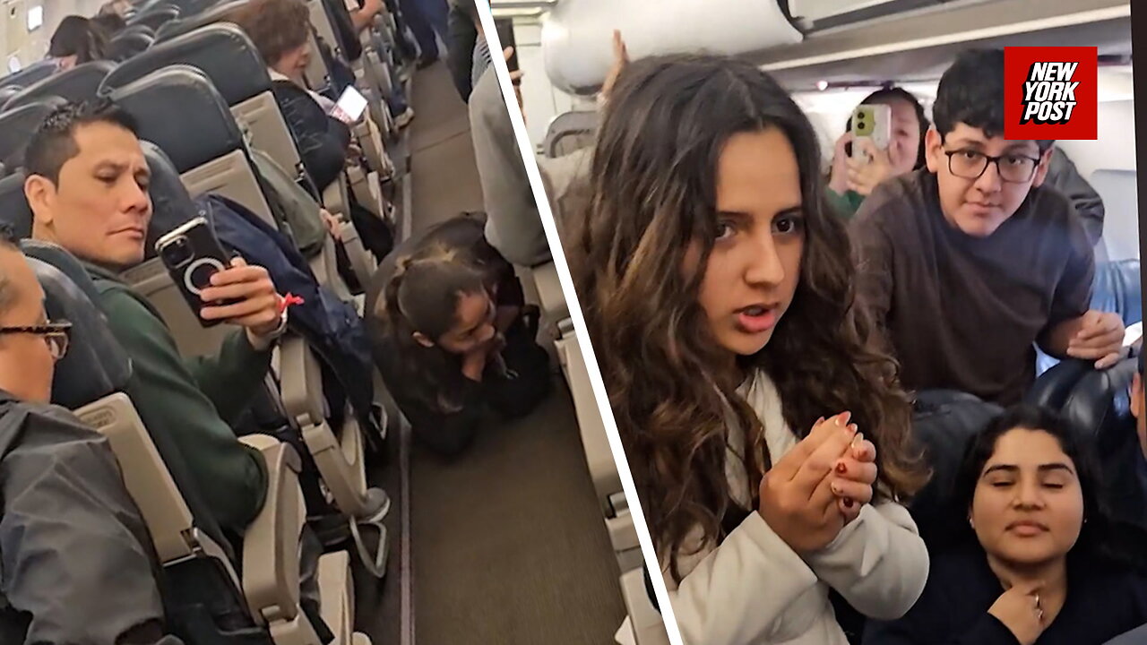 Hamster escapes on plane causing 2-hour delaymp4