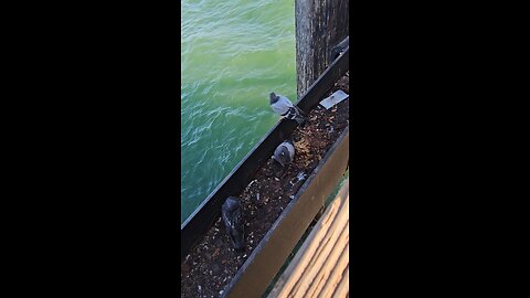 Have a fun and fantastic weekend