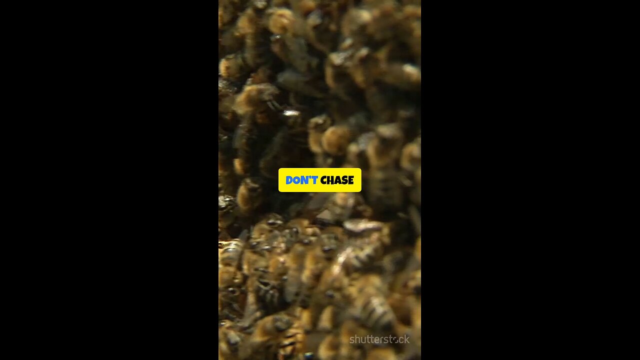 Don’t Chase Applause 🐝 Seek Precision — Build Excellence That Lasts 🍯✨