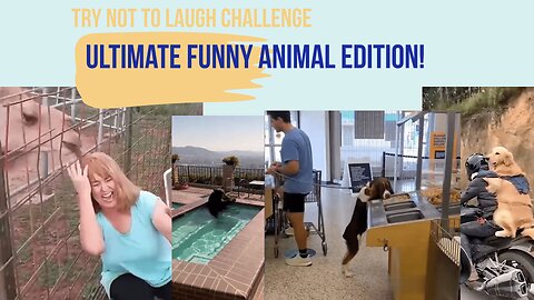 Ultimate Funny Animal Edition! Try Not to Laugh Challenge