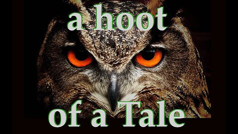 a hoot of a Tale