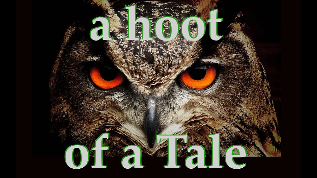 a hoot of a Tale