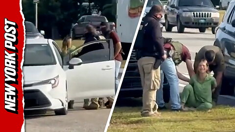 'I'm a US citizen!': Dramatic footage shows Florida woman forcibly pulled from car