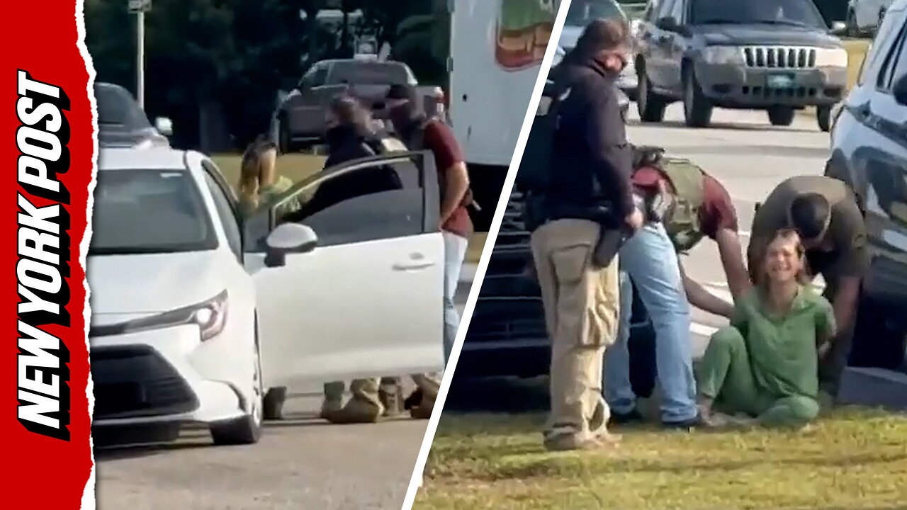Im a US citizen!: Dramatic footage shows Florida woman forcibly pulled from car