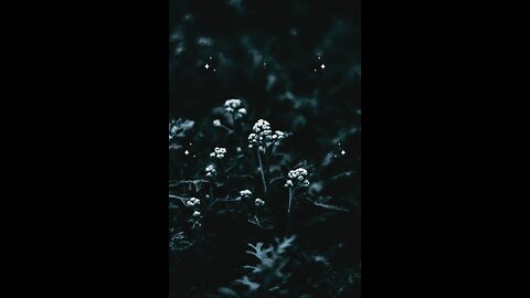 Hadees e nabvi (saw) #islam #islamicvideo #viralreels #prophetmuhammadsaw #hadeesenabvi