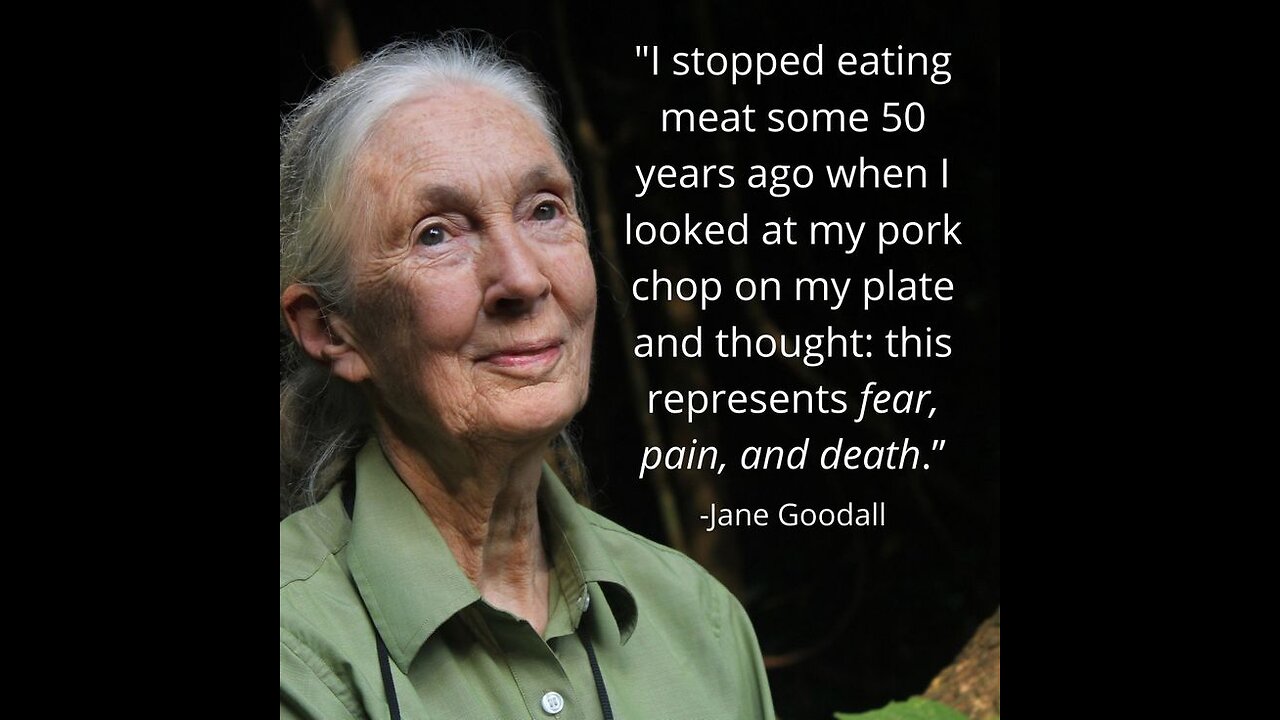 WHO IS JANE GOODALL? 90 YEARS OF LIFE IN HER OWN WORDS