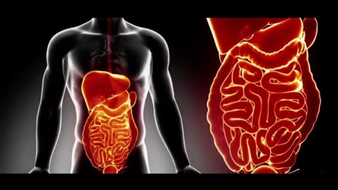 Barley Tea Nutrition, Benefits & Side Effects Explained