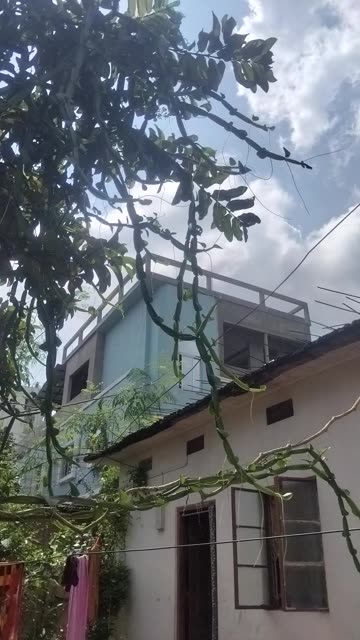 Peaceful Backyard Setup | Simple & Relaxing Outdoor Space