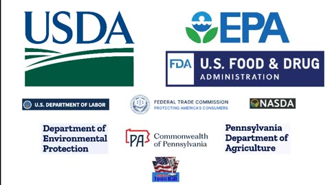 The Conservative Voice on Rumble