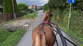 The First Speed Limit Was 2 MPH #transporthistory #lawfacts