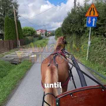 The First Speed Limit Was 2 MPH #transporthistory #lawfacts