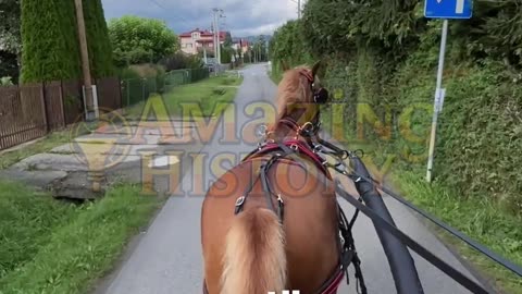 The First Speed Limit Was 2 MPH #transporthistory #lawfacts