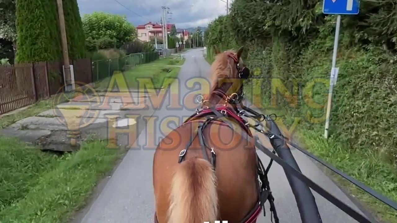 The First Speed Limit Was 2 MPH #transporthistory #lawfacts