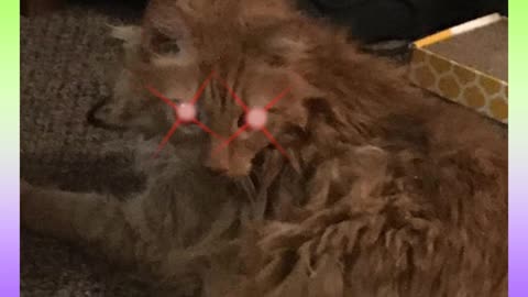 8-Bit Panda Strike - HP/MP Restored