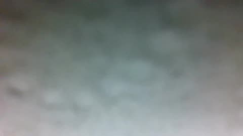 CAN A DEMOCRAT BE CHRISTIAN? NO! CAN A MONKEY BE A MAN? DEPENDS ON WHO YOU ASK.