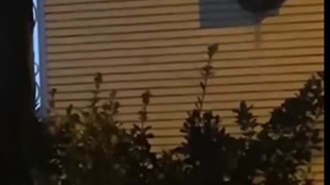 Iran - Protesters With Trump Signs