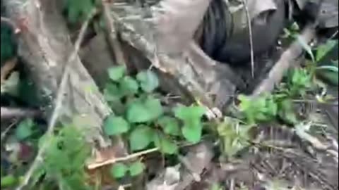 War in ukraine