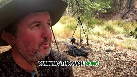 🧠✨ Javelina Herd Hunts Mountain Lion? Unbelievable Wildlife Chase! | FeedMyCuriosity