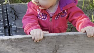 Tiny hands, big curiosity 🌱 Baby Kayla is gardening and loving it!