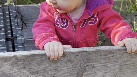 Tiny hands, big curiosity 🌱 Baby Kayla is gardening and loving it!