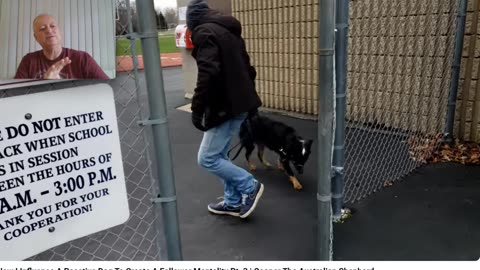 Flipping the Script on Keven Murdaugh's Copy Cat Cesar Millan Approach - Pt 5