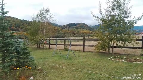 Tentative de răpire kidnappjng attempts clan mafiot ramificat Râșnov, Brașov, România