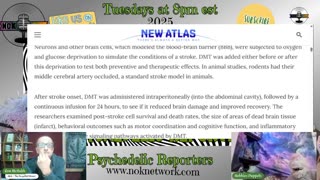 Psychedelic Reporters Ep177 October 7th, 2025