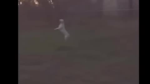 👻😨 3 Ghosts Captured by Accident | TheHauntingHour