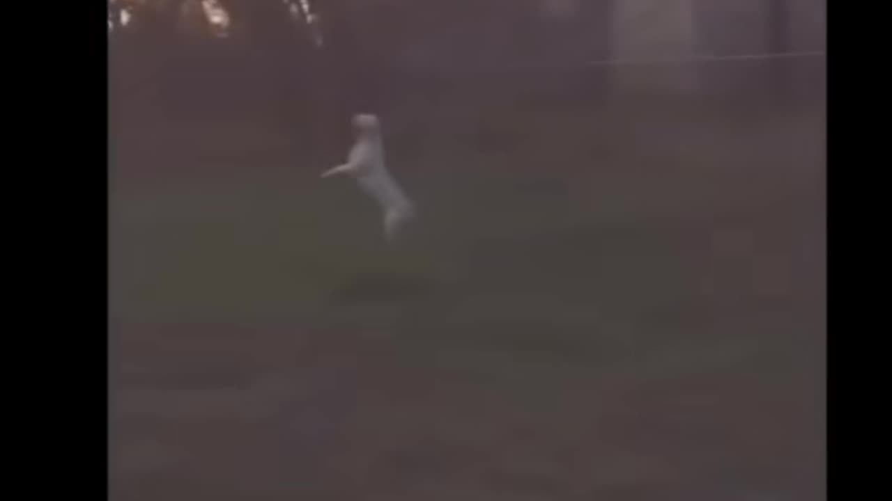 👻😨 3 Ghosts Captured by Accident | TheHauntingHour