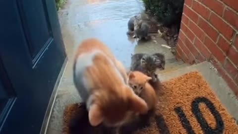 No Budy Expected This...