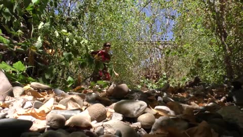 Chevaucher le dragon