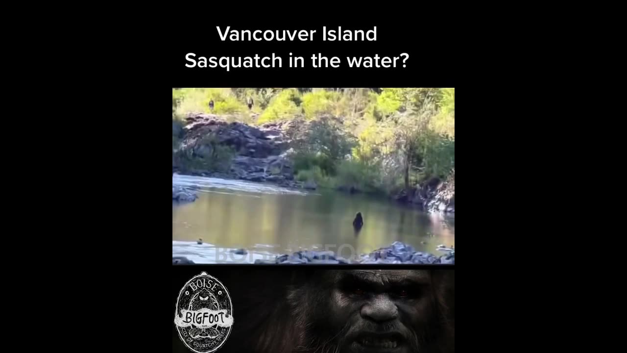 the Bigfoot In A Lake video