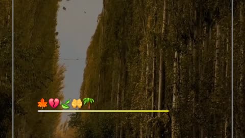 Hum Duaa'on Mein Milny Waly Hein | Urdu Poetry | Status Video | Awan Creations