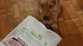🤣🍽️ This Animal’s Second Breakfast Request Will Crack You Up! | FunFM