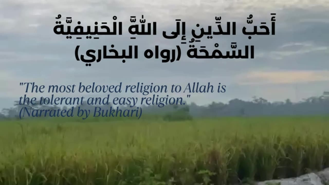 The Beauty of Islam 4