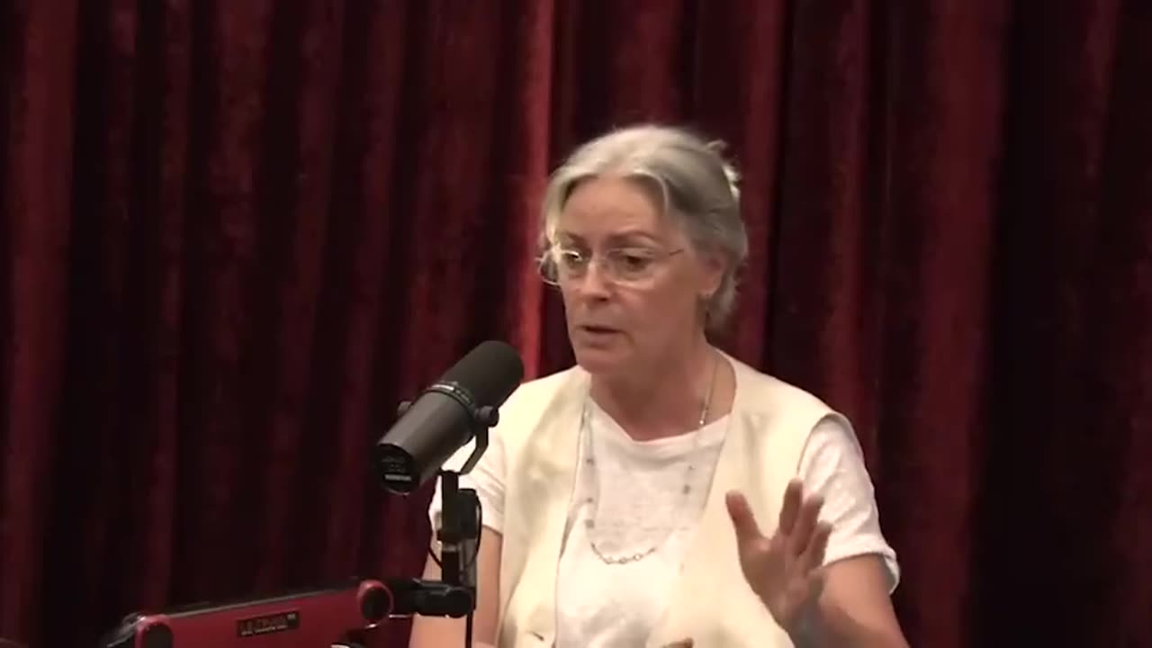 Vaccine expert interview on Joe Rogan