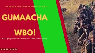 Gabaasa Gumaacha ONM-ABO Onkoloolessa 28-2025 itti dhiyaadhaa!