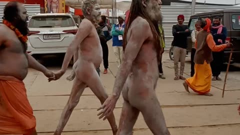Naga sadhu ( without clothes)