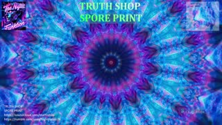 Truth Shop Radio : Live 24/7 Original Electronic Music
