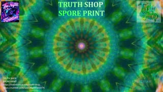 Truth Shop Radio : Live 24/7 Original Electronic Music